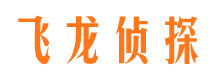 鲁山捉小三公司